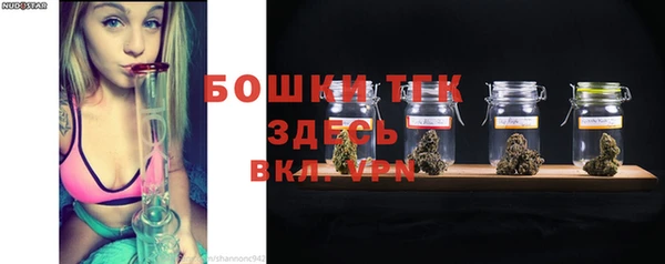 ПСИЛОЦИБИНОВЫЕ ГРИБЫ Абаза