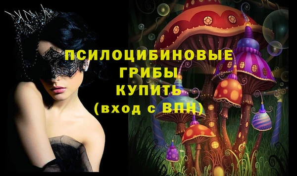 ПСИЛОЦИБИНОВЫЕ ГРИБЫ Абаза