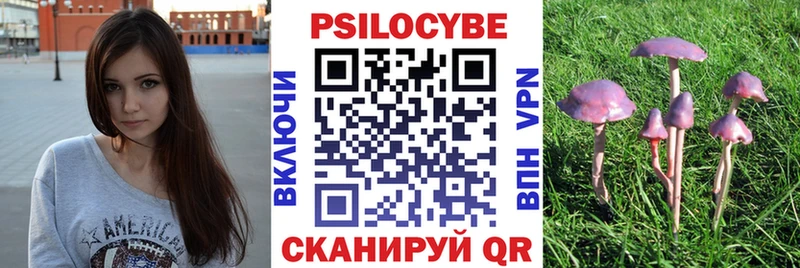 blacksprut ONION  купить   Зеленодольск  Псилоцибиновые грибы ЛСД 